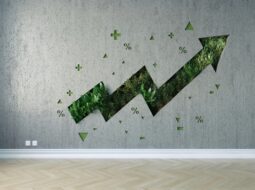 Investment Techniques